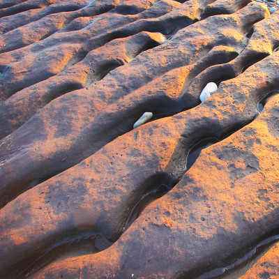 Stones in Ancient Peat Diggings Cardigan Bay
