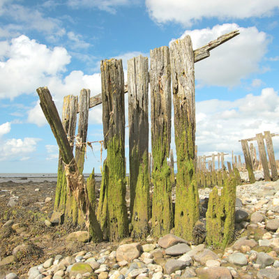 Old Fish Trap Remains
